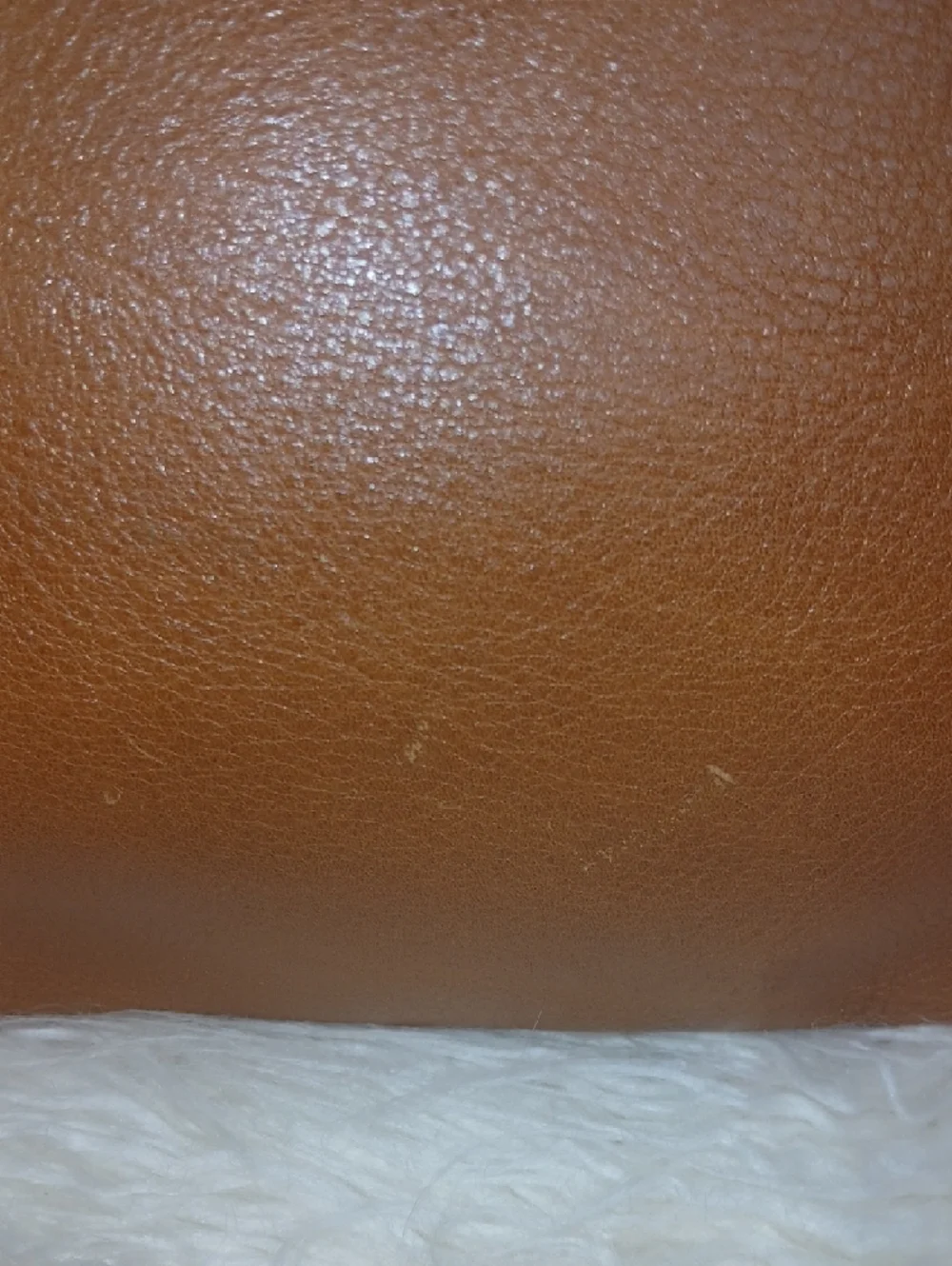 Mulberry Cognac Leather Zip Document Case UNISEX